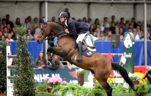 10801616_613687358741556_3250712825781192738_n A man riding on the back of a brown horse.